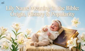 Lily-Name-Meaning-in-the-Bible